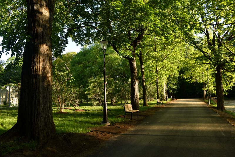 Bois-de-Coulonge