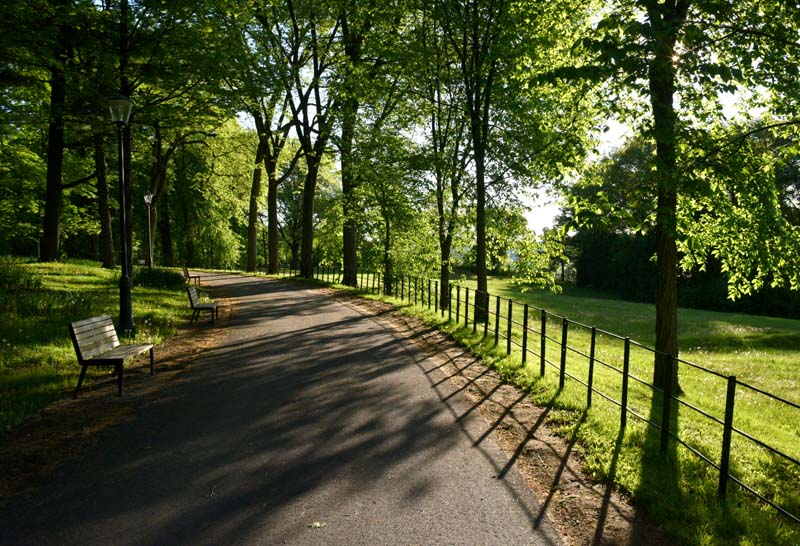 Bois-de-Coulonge