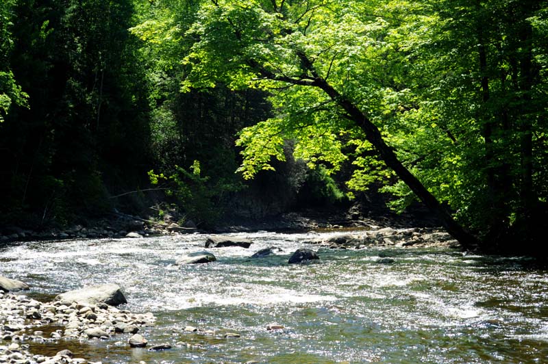 Au dtour de la St-Charles