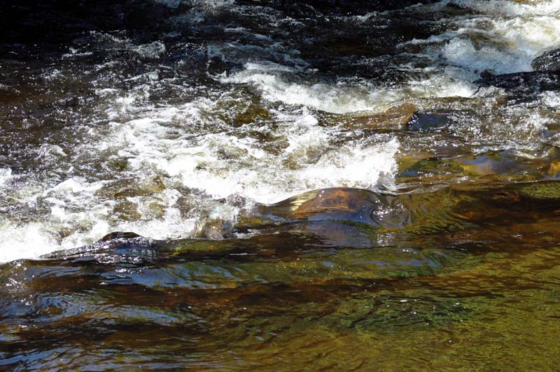 Petit rapide sur la St-Charles