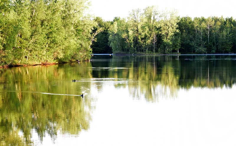 Autour du lac Laberge