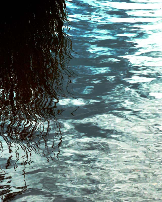 Composition au Parc des Moulins