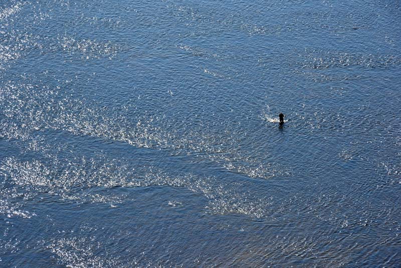 Le pêcheur dans la Montmorency