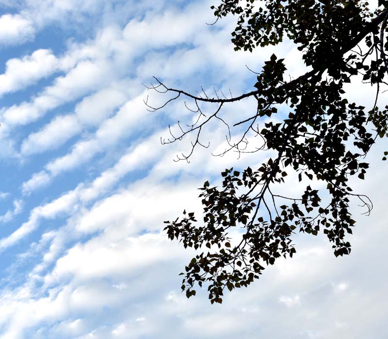 Ciel nuageux