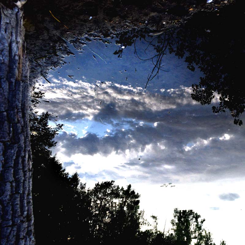 Up side down