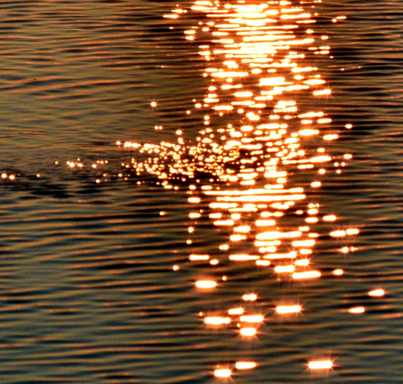 Le jeu du soleil sur l'eau du fleuve