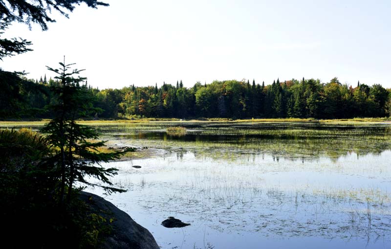 Lac Boivin