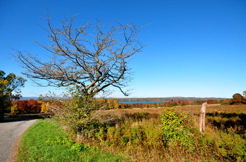 Promenade automnale  Lvis-Lauzon
