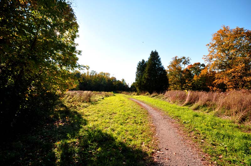 Promenade automnale  Lvis-Lauzon