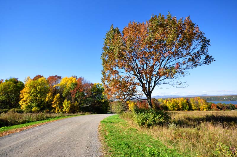 Promenade automnale  Lvis-Lauzon