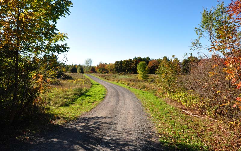 Promenade automnale  Lvis-Lauzon