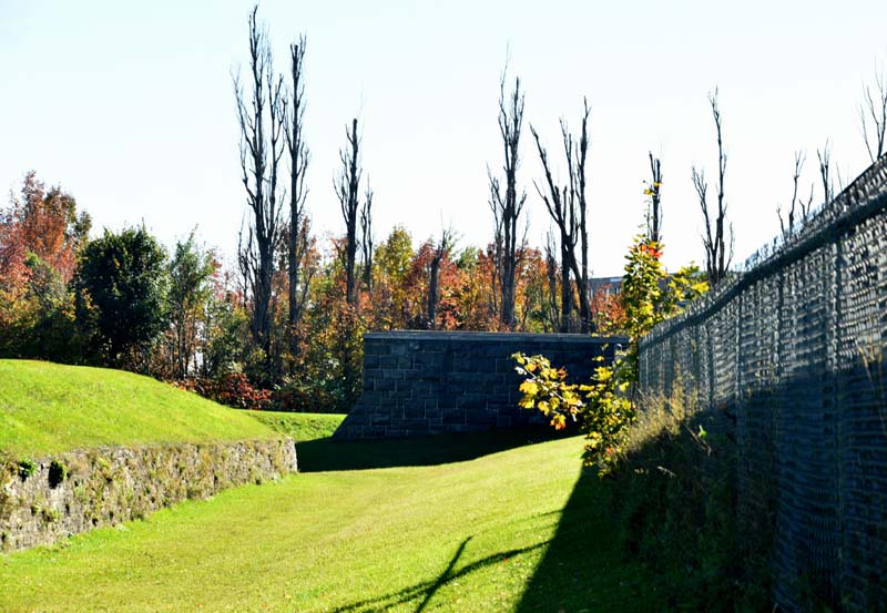 LES FORTS DE LVIS
