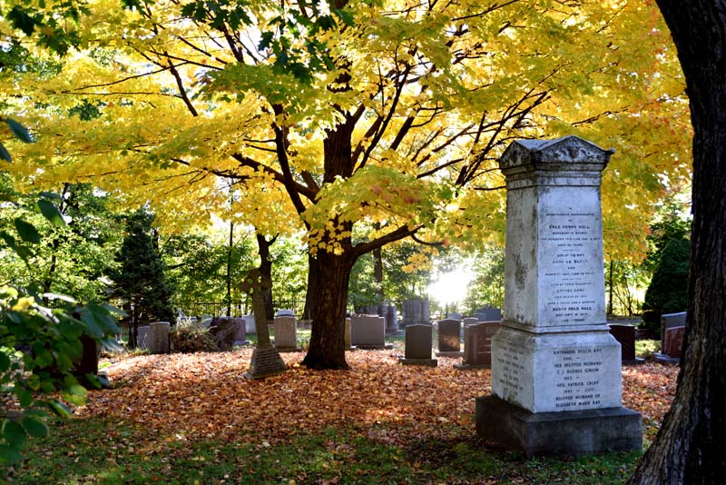 L'automne au cimetière