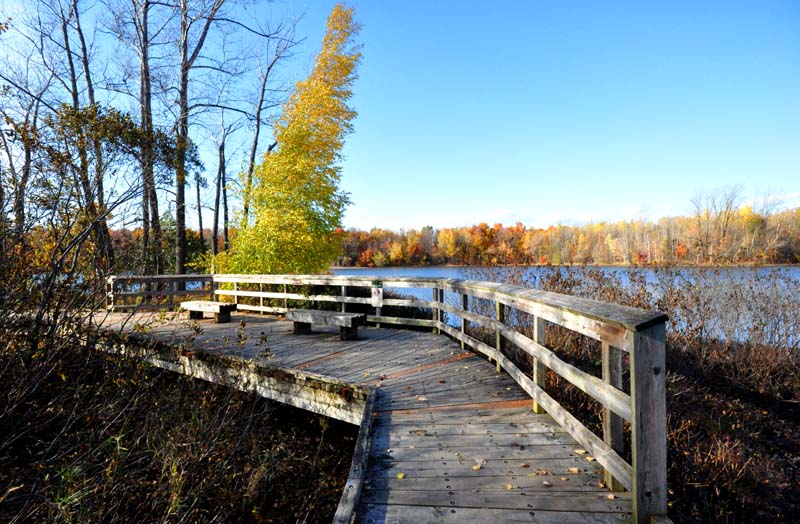 Autour du lac Laberge