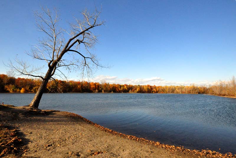 Autour du lac Laberge