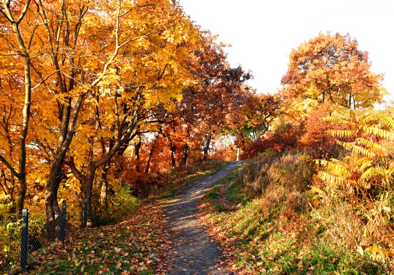 sentier des Gd Domaines de Sillery