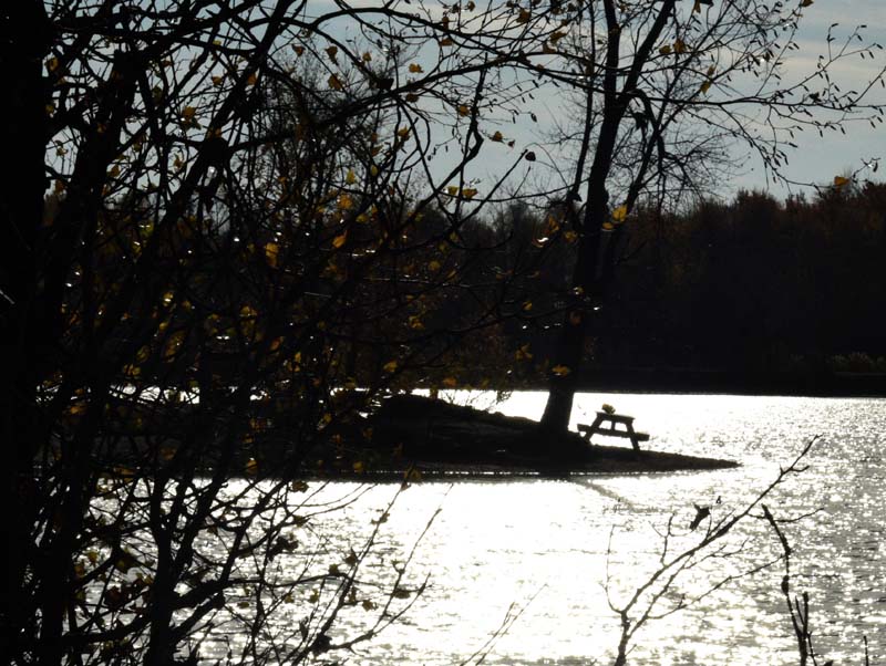 Octobre au lac Laberge