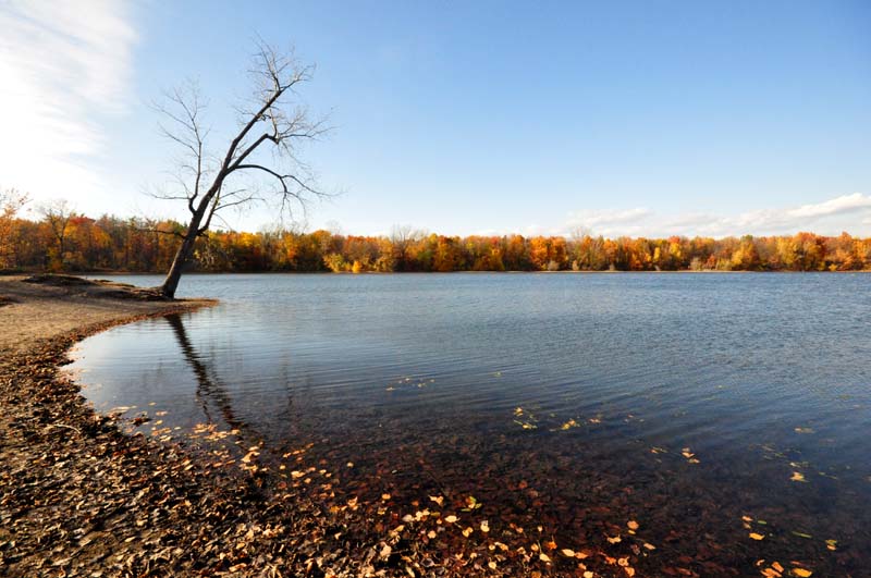 Octobre au lac Laberge