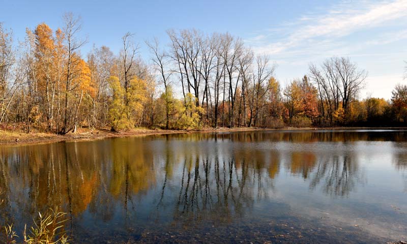 automne au lac Laberge