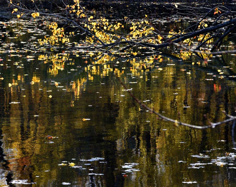 automne au lac Laberge