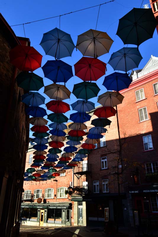 L'allée des parapluies