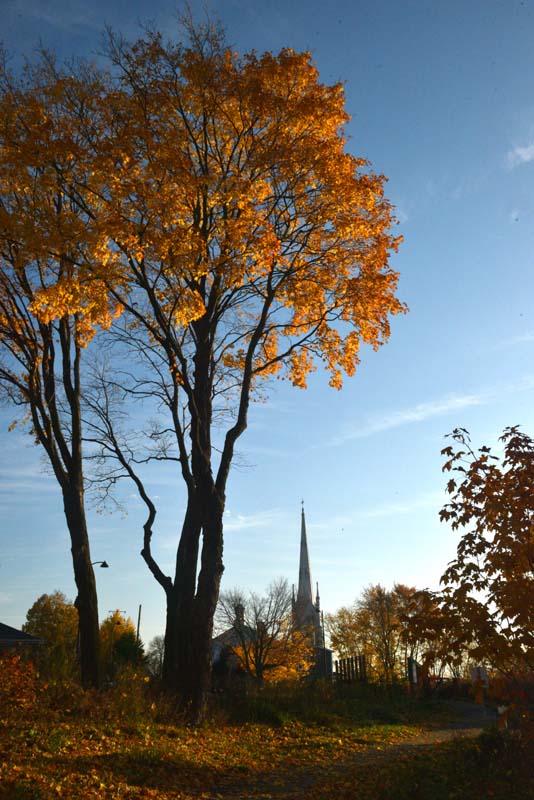 Sur le sentier des Gd Domaines de Sillery