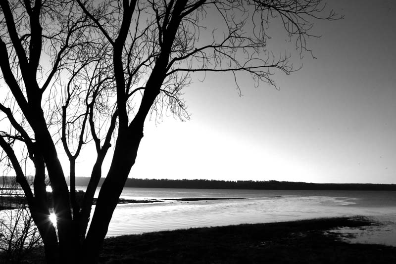 Bord du fleuve. Cap Rouge