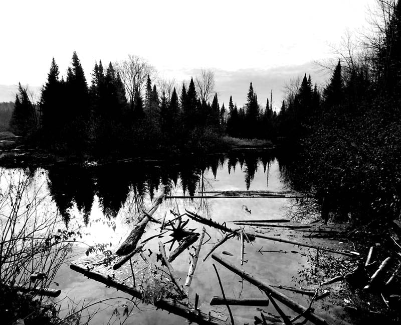 Marais du Nord