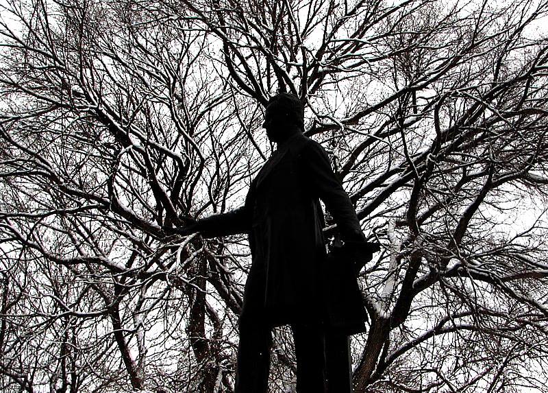 L'homme-arbre