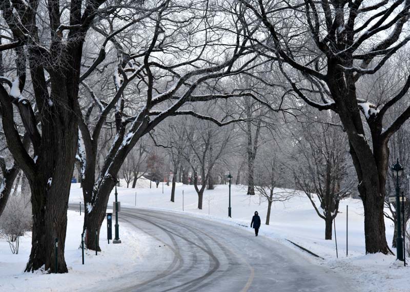 Promenade sur les plaines près du Musée du Québec