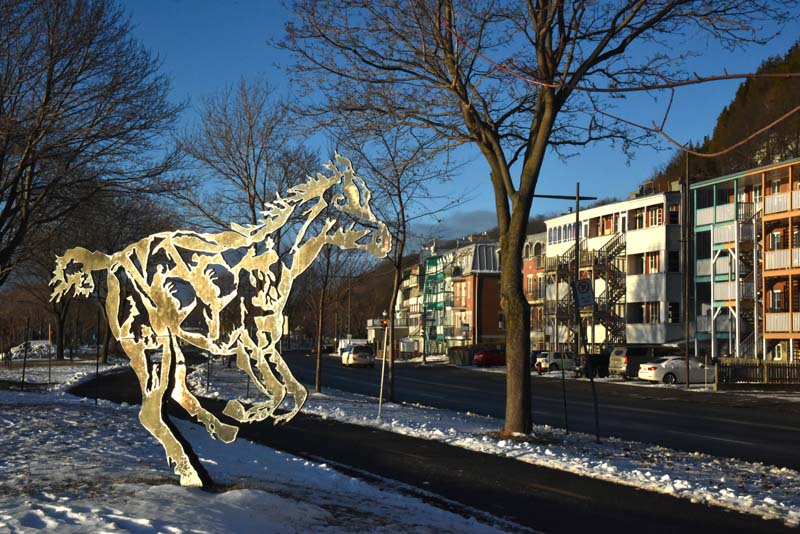 le cheval au pied du cap blanc