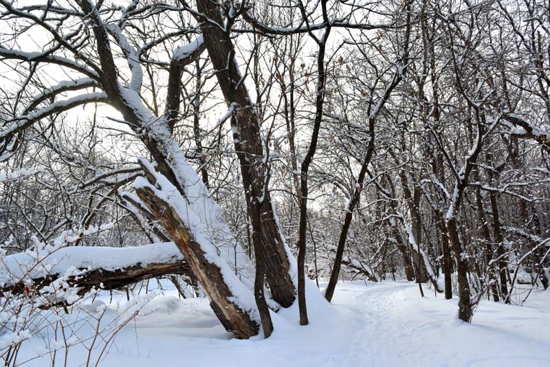 Riv St-Charles, Duberger