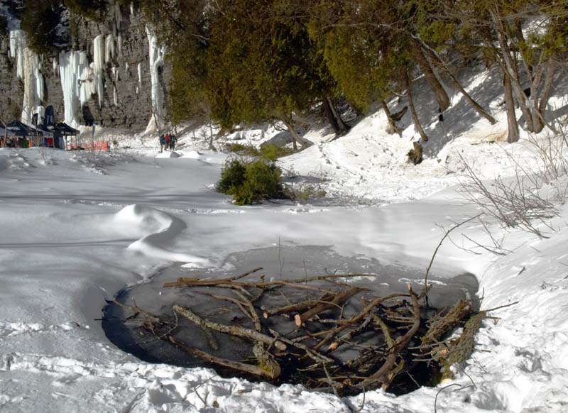 Scènes du festiglace 2025 de Pont-Rouge