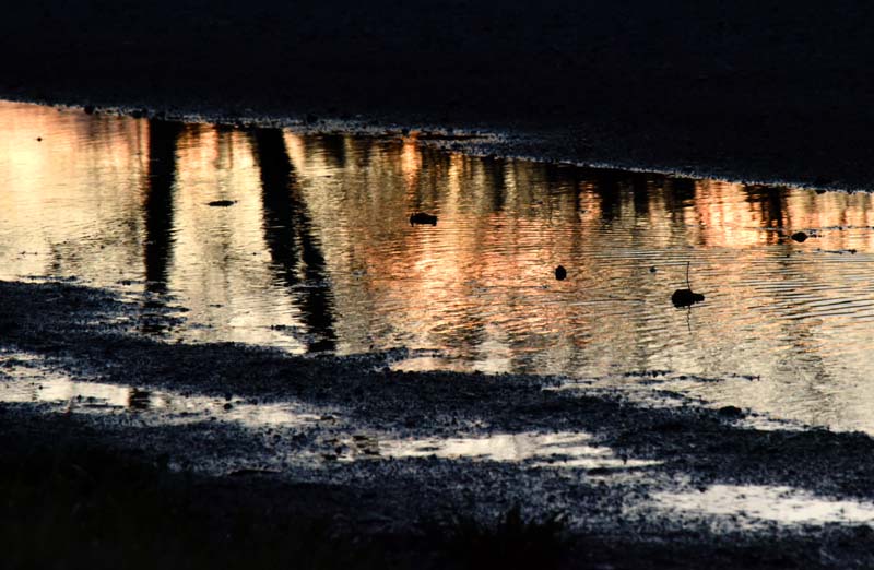 Reflets sur flaque
