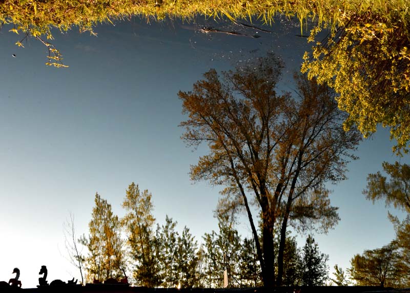 upside down