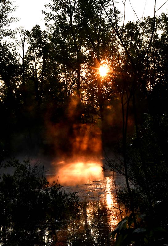 le soleil filtré