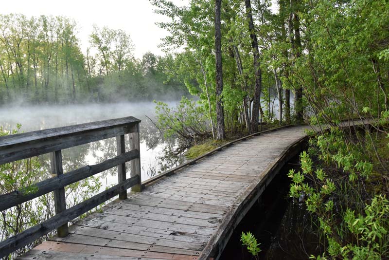 Passerelle de bois