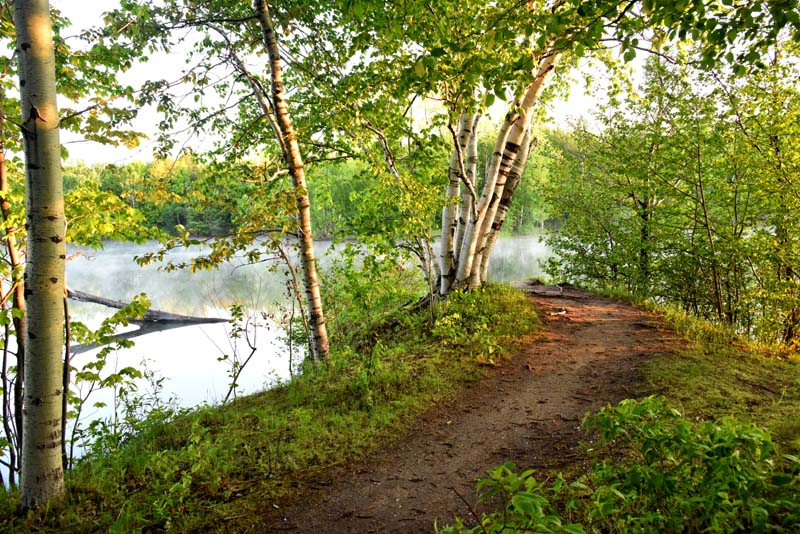 La pointe aux bouleaux