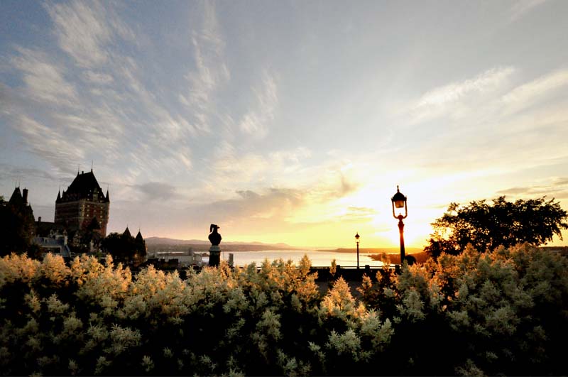 Matin fleuri