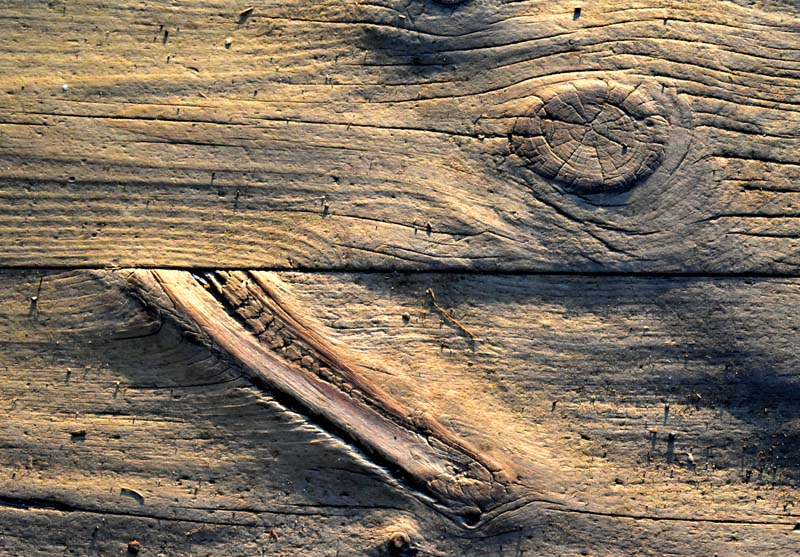 Barracuda de bois