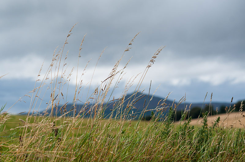 29th August 2019  late summer