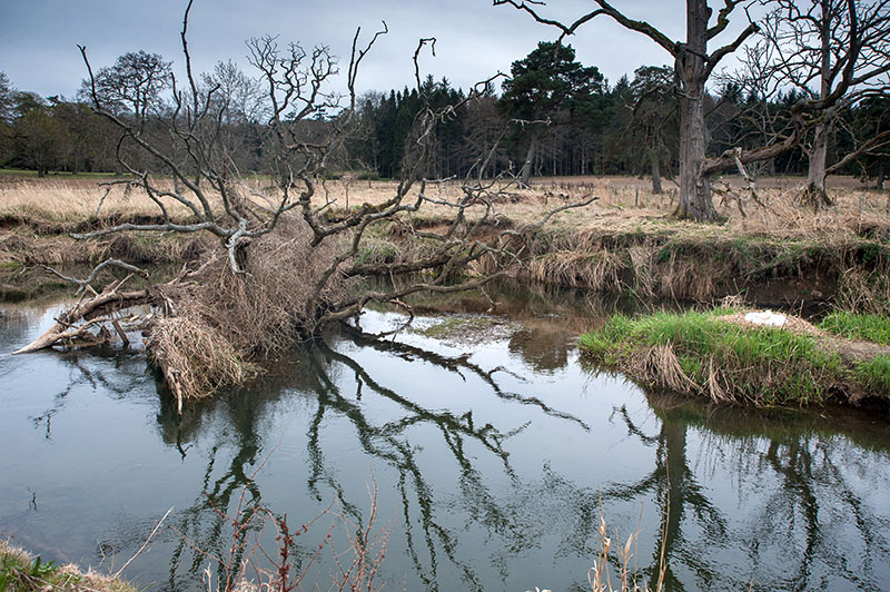 14th April 2020  nesting