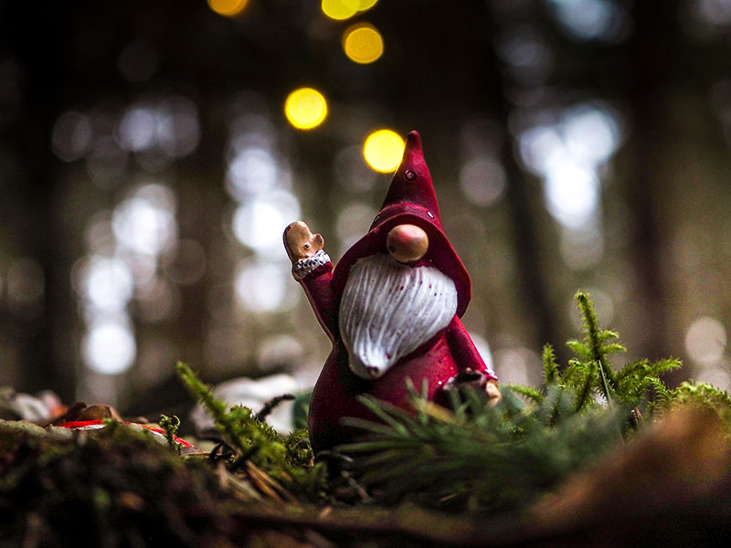 19th December 2021 <br> A Christmassy gnome