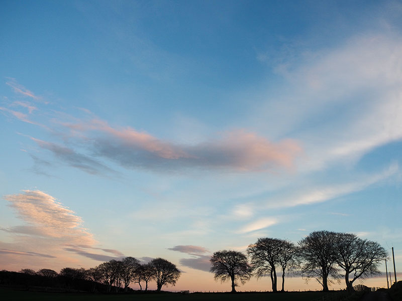 7th February 2022 <br> more spring than winter