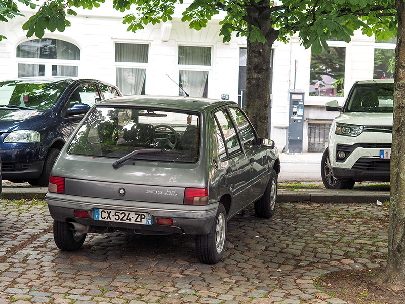 P6020193-2-001.jpg