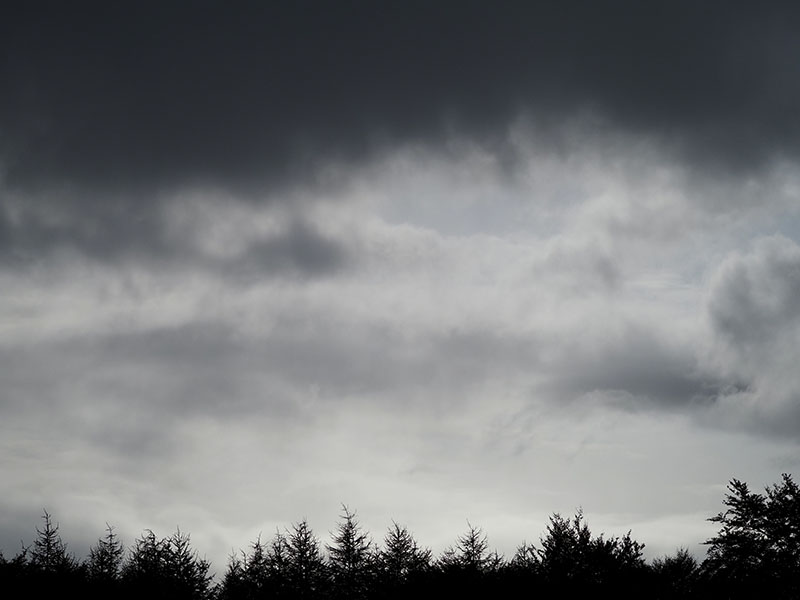 P9130048-2-001.jpg