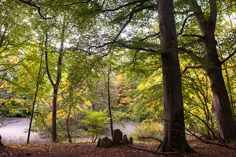 5th October 2024  Autumnal