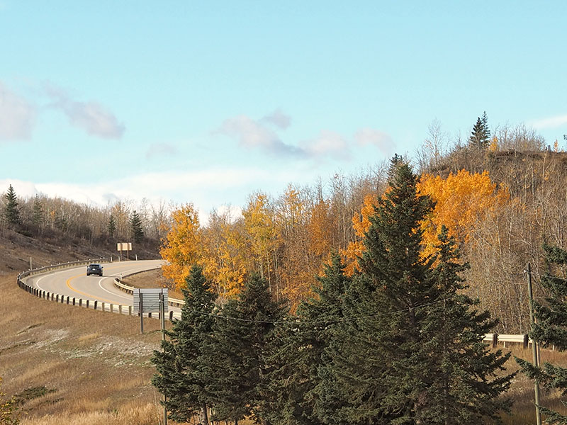 PA170147-2-001.jpg