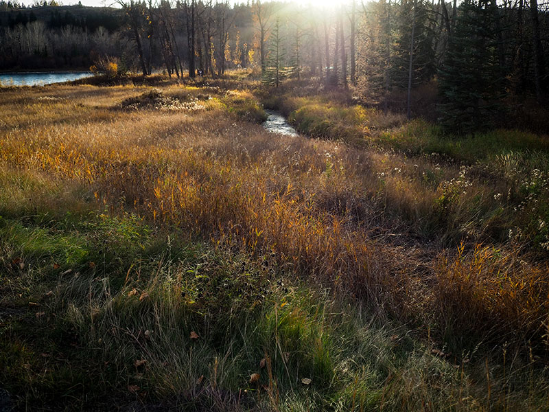 PA180245-2-001.jpg