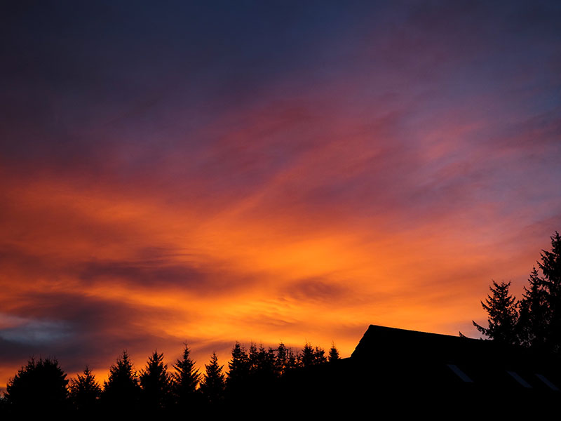 2nd November 2024  November skyburst
